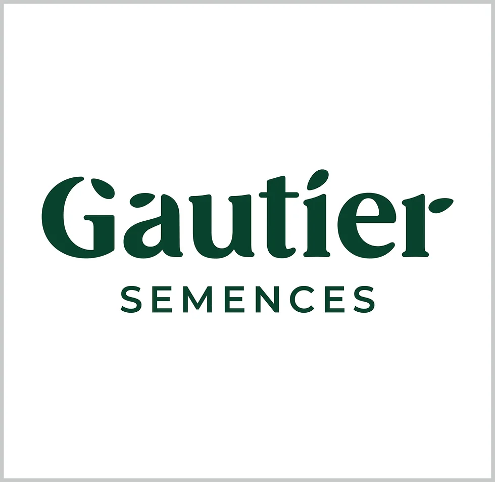Accompagnement de Gautier SEMANCES
